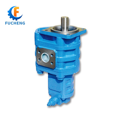 Equipamento hidráulico Cbgj2-2 Série Tandem Gear Oil Pump com material de ferro fundido