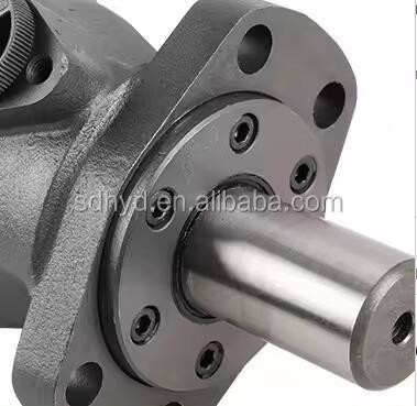 Sauer OMH BM OM 36 50 80 100 125 160 200 250 315 400 Motor de órbita hidráulica e conjuntos de vedação