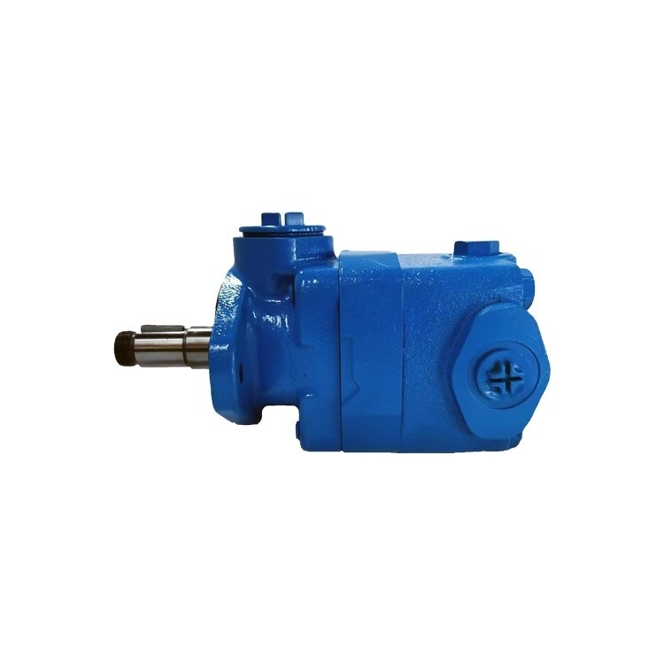 Bomba Vane V10 V20 de alta pressão em qualquer cor